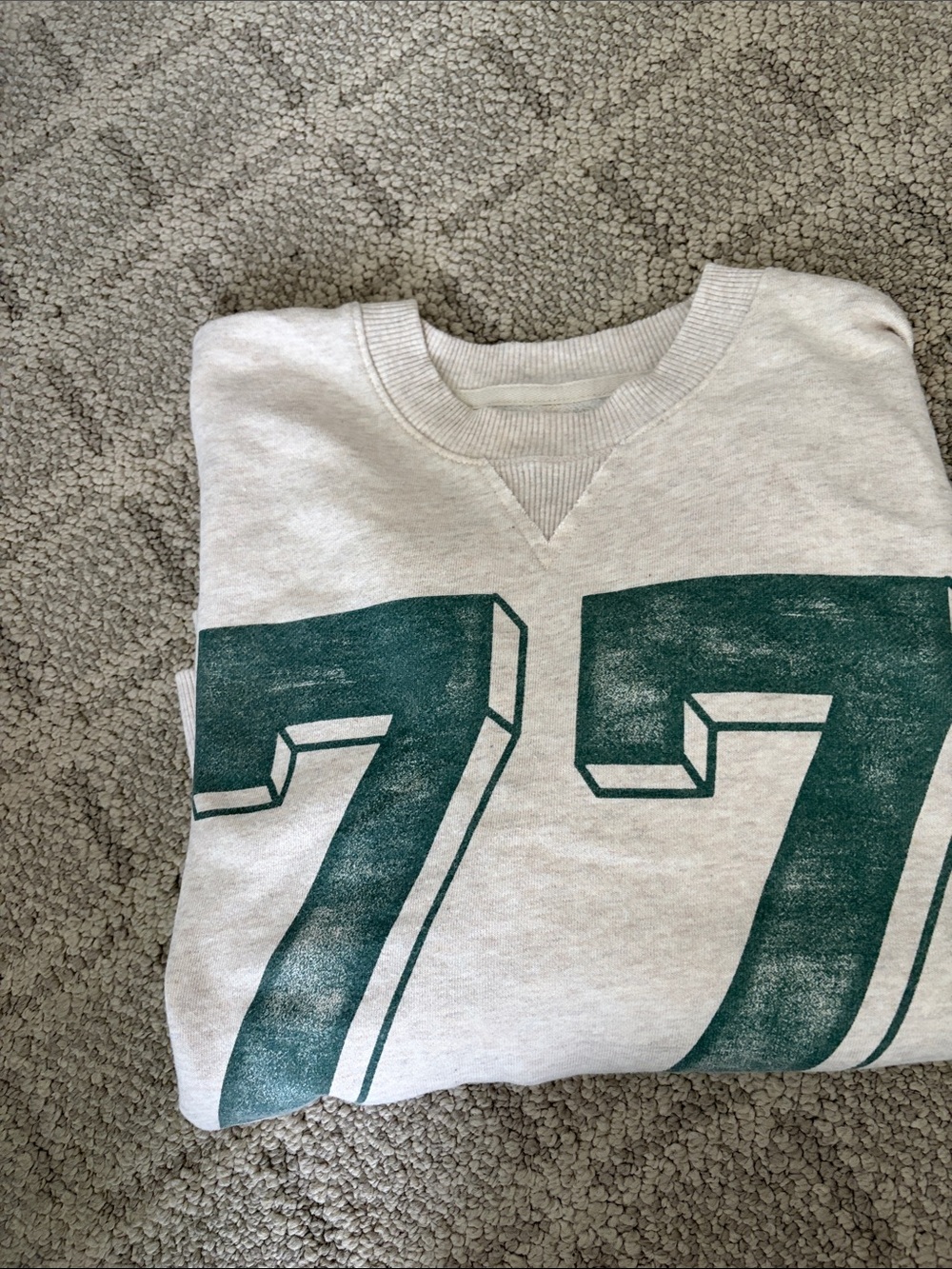 aerie Cream Sweatshirt with Teal Graphic 77